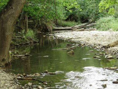 Gün itme Küçük Orman Nehri 
