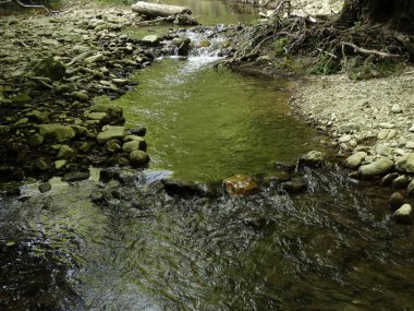 Gün itme Küçük Orman Nehri 