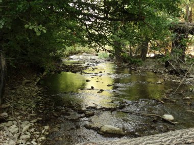 Gün itme Küçük Orman Nehri 