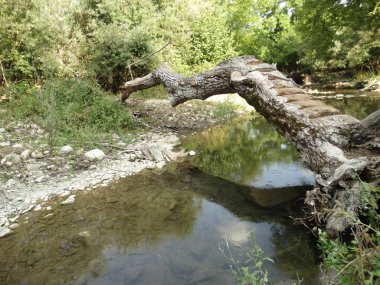 Gün itme Küçük Orman Nehri 
