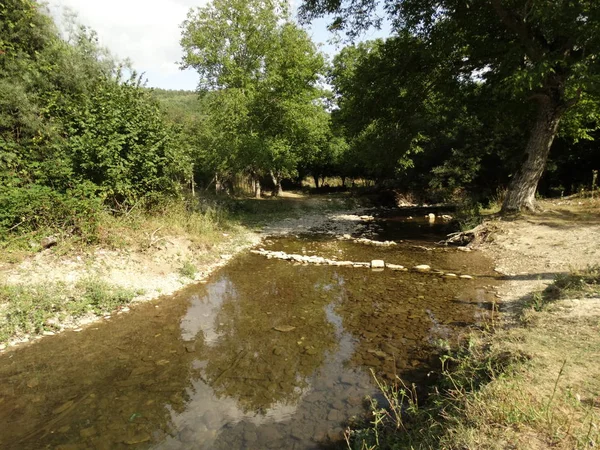 Piccolo Fiume Foresta Giorno Itme — Foto Stock