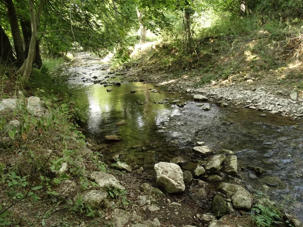 Small Forest River Day Itme — Stock Photo, Image