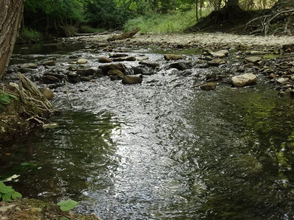 Gün Itme Küçük Orman Nehri — Stok fotoğraf