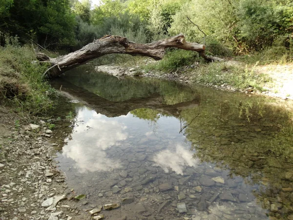 Gün Itme Küçük Orman Nehri — Stok fotoğraf