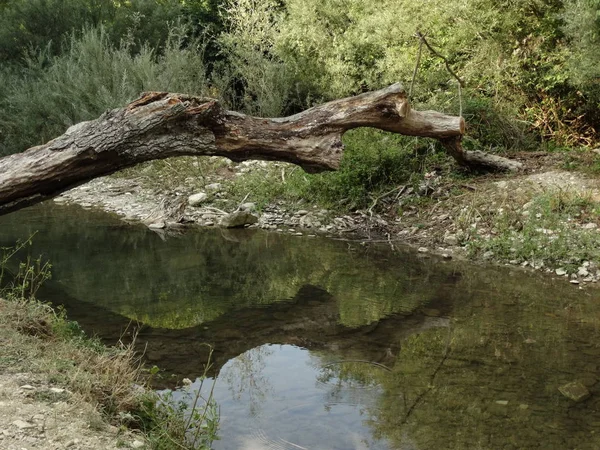 Gün Itme Küçük Orman Nehri — Stok fotoğraf