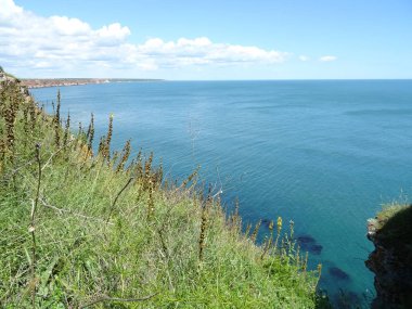 Yukarıdan deniz manzarası