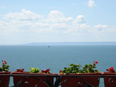 Saksı deniz arka plan üzerinde