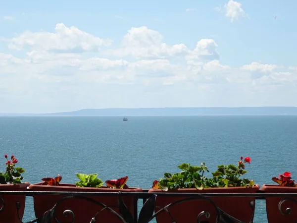 Saksı deniz arka plan üzerinde