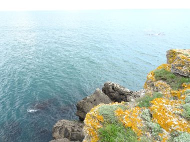 Deniz arka planda turuncu Moss ile kaya