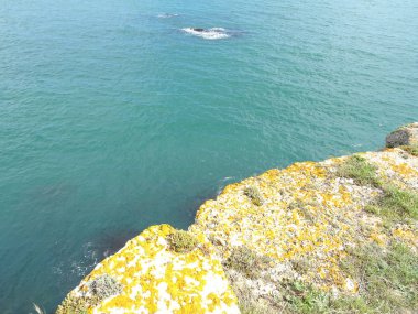 Deniz arka planda turuncu Moss ile kaya