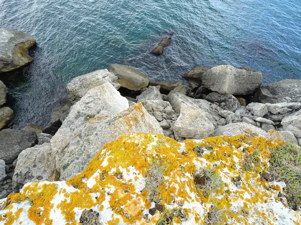Felsen Mit Orangefarbenem Moos Auf Meeresgrund — Stockfoto
