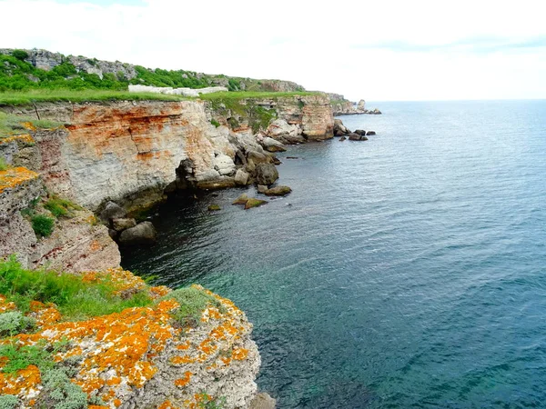 海の背景にオレンジ色のコケと岩 — ストック写真