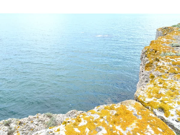 海の背景にオレンジ色のコケと岩 — ストック写真