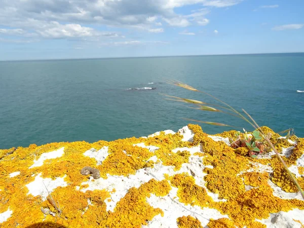 Рок Апельсиновым Маслом Морском Фоне — стоковое фото