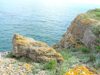 Deniz arka planda turuncu Moss ile kaya