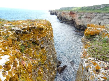 Deniz arka planda turuncu Moss ile kaya