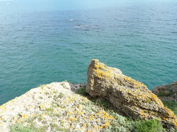 海の背景にオレンジ色のコケと岩 — ストック写真