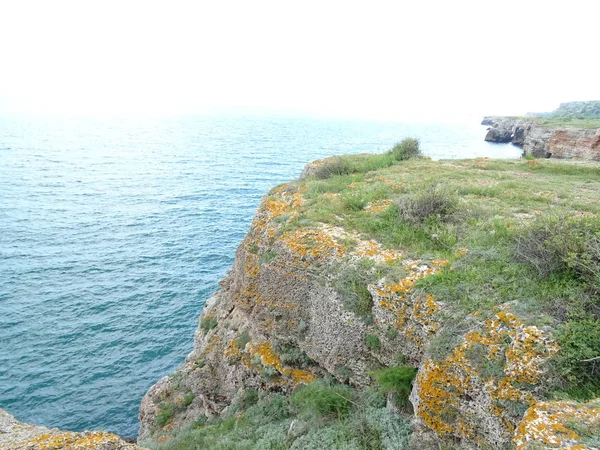 岩石与橙色苔藓在海背景 — 图库照片