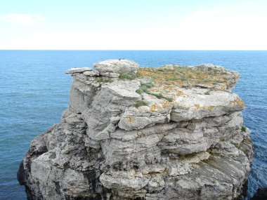 Bir bağlantı noktası duvar kağıdı arka plan yakın görünümünden deniz manzarası