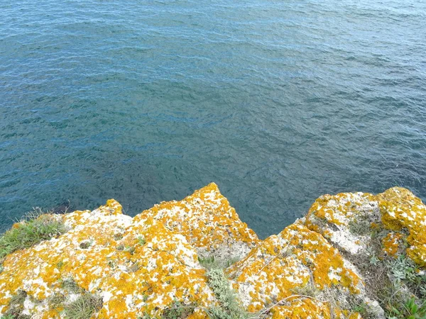 Bir Bağlantı Noktası Duvar Kağıdı Arka Plan Yakın Görünümünden Deniz — Stok fotoğraf