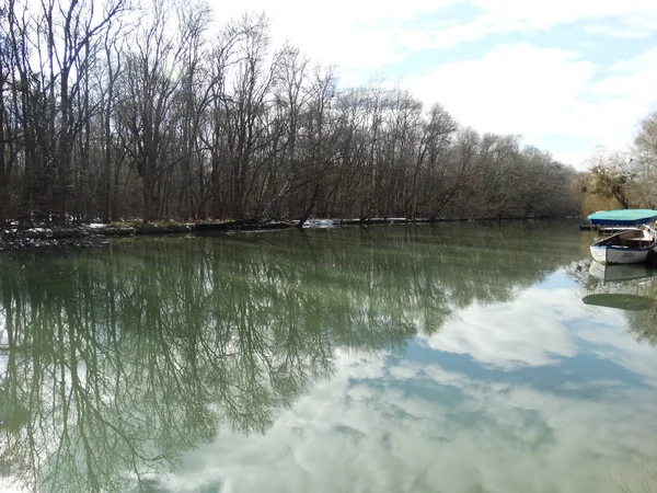 Arbres Nus Ciel Réfléchissant Dans Eau Rivière — Photo