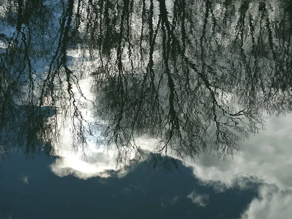 裸の木々 と川の水に反映して空 — ストック写真