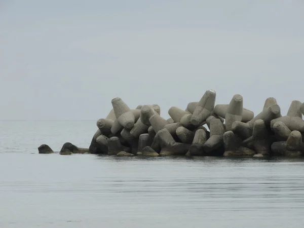Pokrytí Srstí Kameny Moři — Stock fotografie