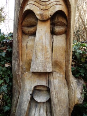 Bir ormanda kazınmış yüzünü