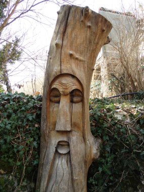 Bir ormanda kazınmış yüzünü