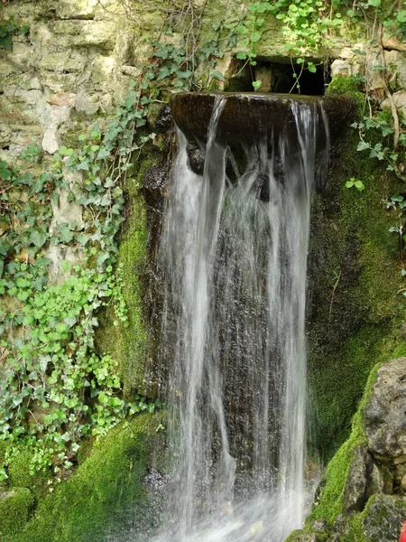 Cascata Fioritura Sfondo Close — Foto Stock