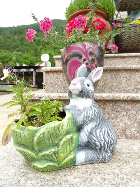 Nyúl Pot Virágoskert Dekoráció — Stock Fotó