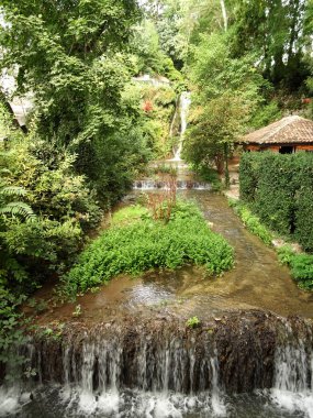 Nehir arka plan yakın kadar çiçekli