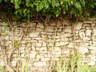 Bir bahçe taş duvar