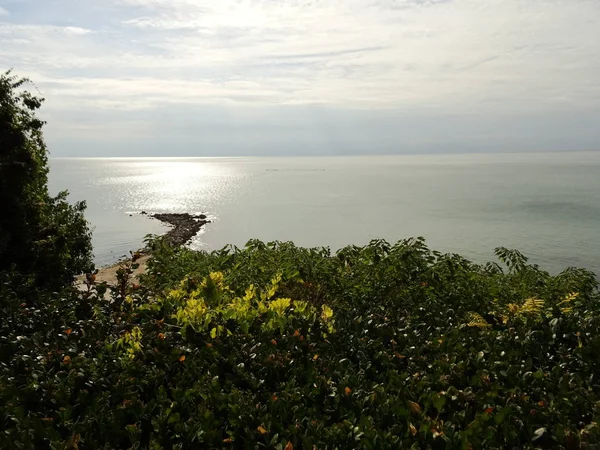 绿色布什身后的海景 — 图库照片