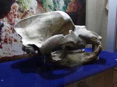 Köstence, Romanya'nın mimarisi