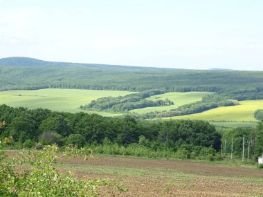 Kırsal manzara arka plan yakın