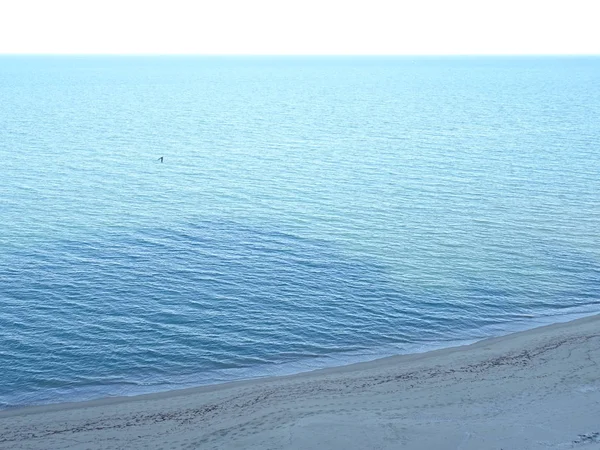 拥有干净的蓝水和水景的海岸 — 图库照片