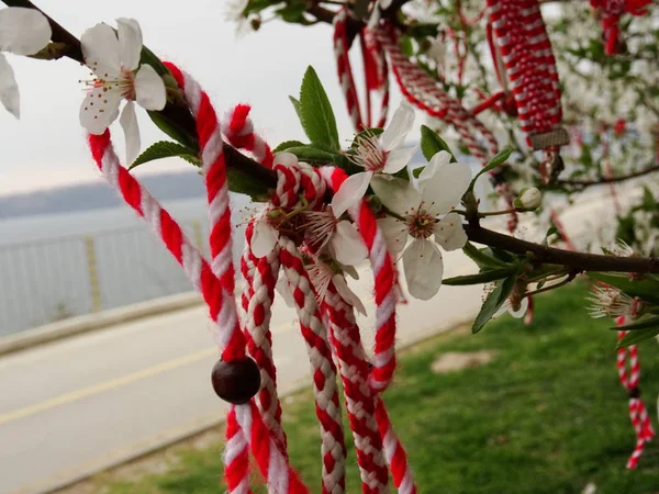 Martenitsa Búlgara Árbol Floreciente — Foto de Stock