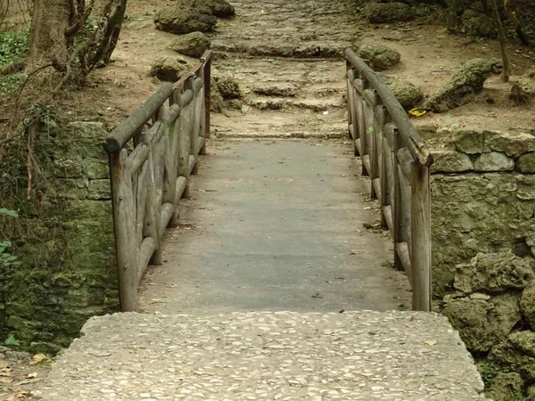 Ponte Madeira Pequena Uma Floresta — Fotografia de Stock