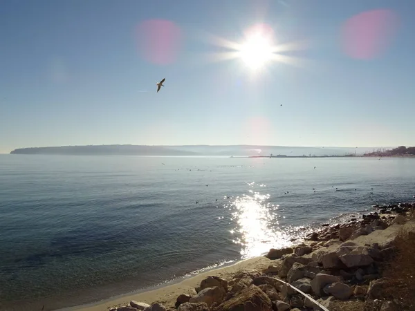 Eau Paysage Aquatique Avec Soleil Réfléchissant Dans Eau — Photo