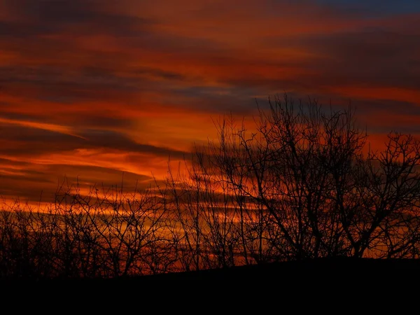 Céu Brilhante Atrás Ramos Árvore Nua — Fotografia de Stock