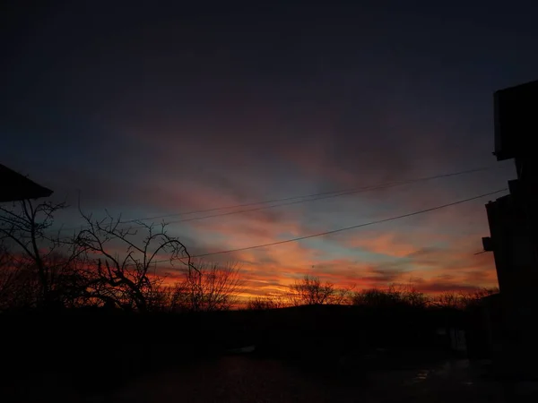 Céu Brilhante Atrás Ramos Árvore Nua — Fotografia de Stock