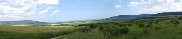 Grüne Felder Landschaft Mit Blauem Himmel Und Bergpanorama — Stockfoto