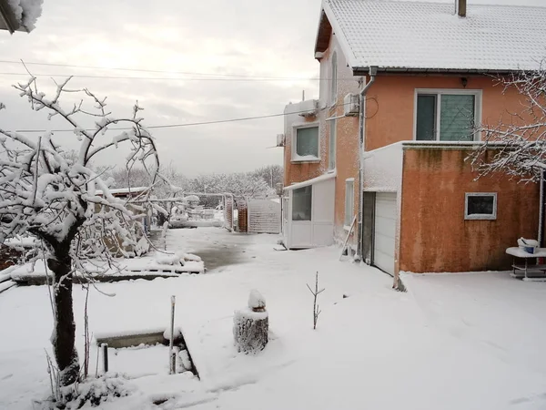 Casa Albero Terreno Coperto Neve — Foto Stock