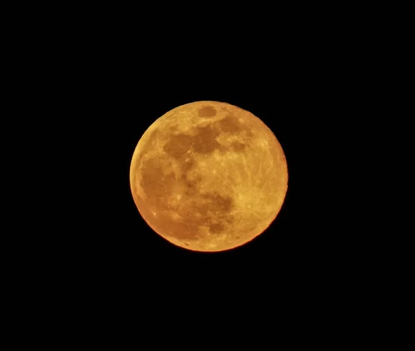 Pleine Lune Orange Sur Fond Ciel Noir — Photo