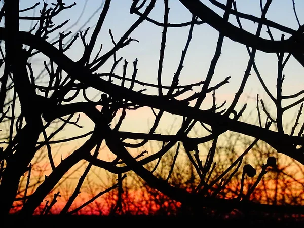 Όμορφο Ηλιοβασίλεμα Wallpeper Backgrounf — Φωτογραφία Αρχείου