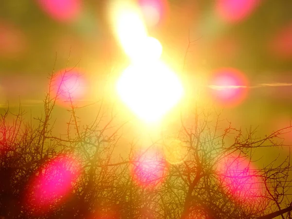 Krásné Světlé Sluneční Paprsky — Stock fotografie
