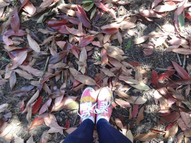 Gelen yukarıdaki pembe kadın spor ayakkabı sonbahar yaprakları üzerinde göster