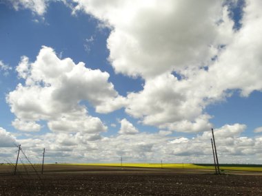 Bulutlu gökyüzü ile pastoral manzara 