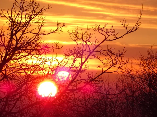 Céu Brilhante Nascer Sol Por Trás Ramos Árvores Nuas — Fotografia de Stock